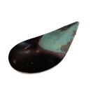 Single Mussel Shell 