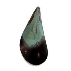 Single Mussel Shell -artists-and-brands-The Vault