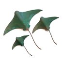Set of 3 Stingrays
