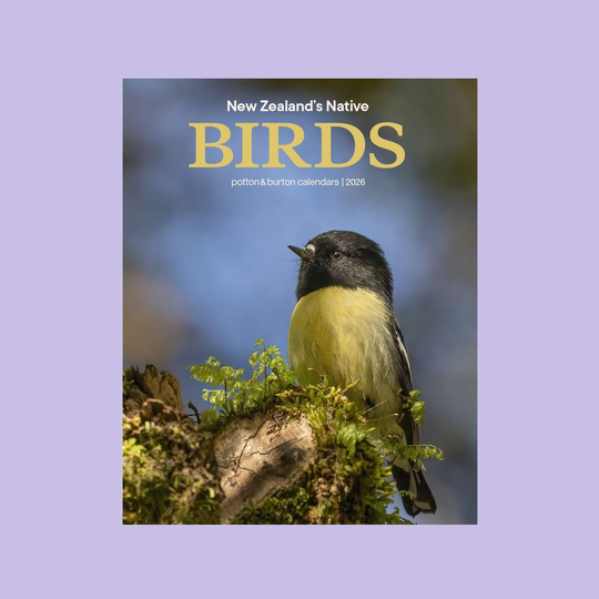New Zealand's Native Birdss Calendar 2026 Small