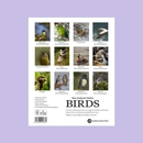 New Zealand's Native Birdss Calendar 2026 Small