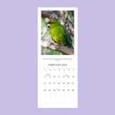 New Zealand's Native Birdss Calendar 2026 Small