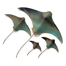 Set of 4 Stingrays-artists-and-brands-The Vault