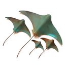 Set of 4 Stingrays