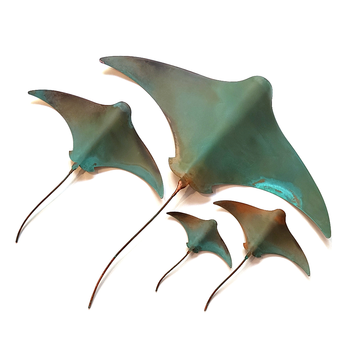 Set of 4 Stingrays