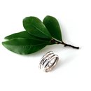 Multi Loop Ring