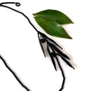 Black Olive Necklace