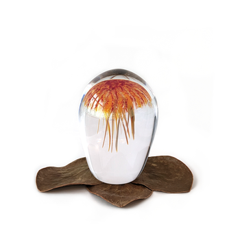 Glass Sculpture Jellyfish Small