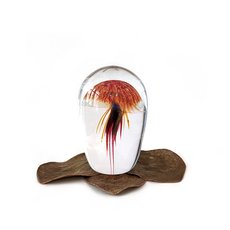 Glass Sculpture Jellyfish Small-artists-and-brands-The Vault