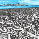 Kapiti Island Paekakariki A4 Print