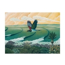 Kereru at Whale Bay Raglan A3 Print