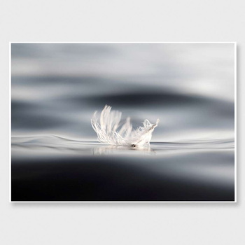 Weightless A3 Print