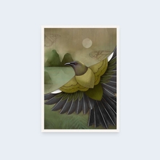 Korimako and Monarch Box Frame-artists-and-brands-The Vault
