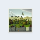 Glass Half Full Box Frame White