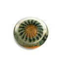 Glass Sculpture Kina