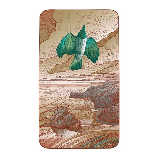 Kereru at Piha A3 Print