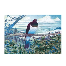 Kereru at Tawharanui A3 Print-artists-and-brands-The Vault