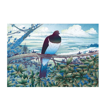 Kereru at Tawharanui A3 Print