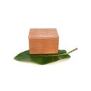 Rewarewa Top Kauri Box Small