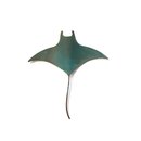 Single Manta Ray Medium