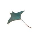 Single Manta Ray Medium