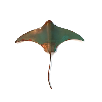 Large Single Stingray