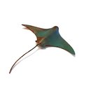 Large Single Stingray