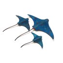 Set of 3 Stingrays
