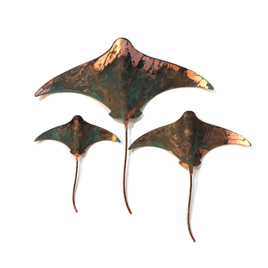 Set of 3 Stingrays