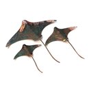 Set of 3 Stingrays