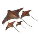 Set of 4 Stingrays