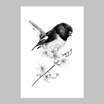 Talkative Tomtit A3 Print