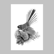 Pohutukawa Perch Fantail A4 Print-artists-and-brands-The Vault