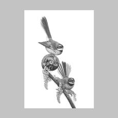 Fantail Friends A3 Print-artists-and-brands-The Vault