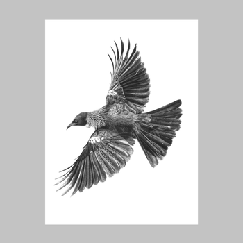 Flying Free Tui A4 Print