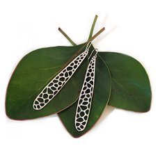 Horoeka Silver Earrings-jewellery-The Vault