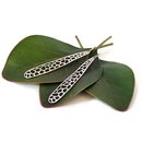 Horoeka Silver Earrings