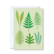 NZ Ferns Card-cards-The Vault
