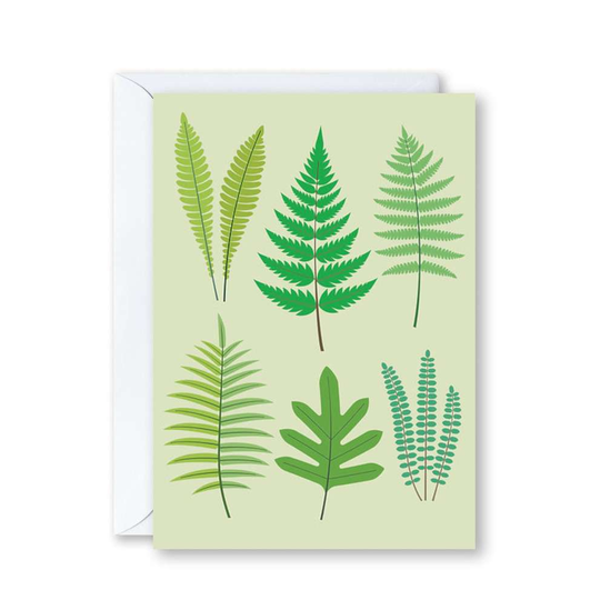 NZ Ferns Card