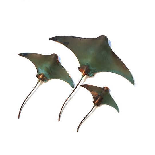 Mini Set of 3 Stingrays