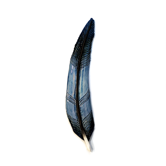 Tui Feather I Wall Hanging