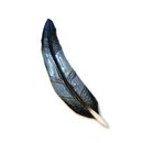 Tui Feather I Wall Hanging