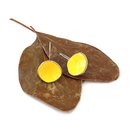 Large Rock Pool Earrings Brass Patina Yellow