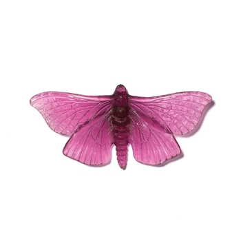 Cast Glass Puriri Moth Open Wings Gold Amethyst-artists-and-brands-The Vault