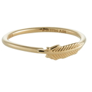 Feather Ring - Gold Vermeil