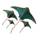 Set of 4 Stingrays