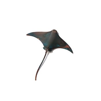 Single Stingray Small-artists-and-brands-The Vault