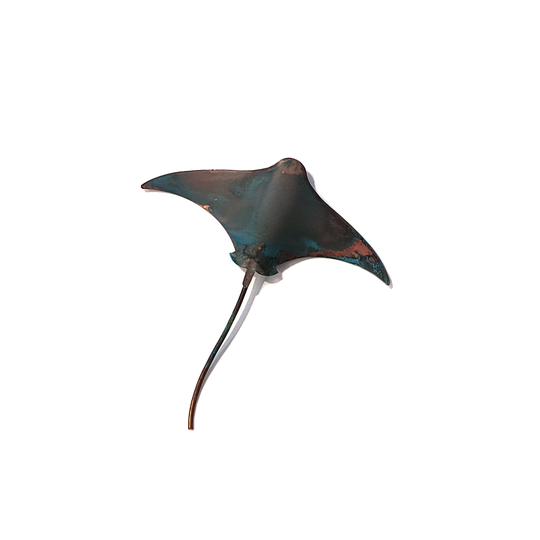 Single Stingray Small