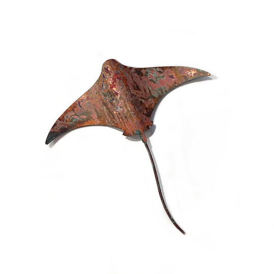 Single Singray Medium