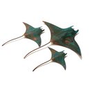 Set of 3 Manta Ray
